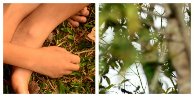 holding nature - June Perkins