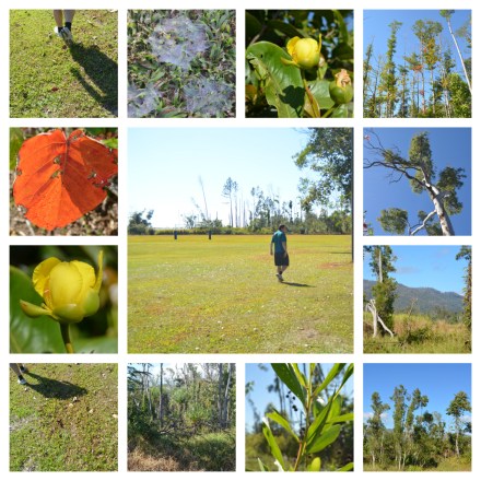 morningwalk Morning Walk - By June Perkins