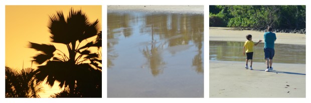 Tropical Life - A sequence