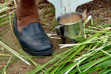 Elder Weaving & Cuppa - June Perkins