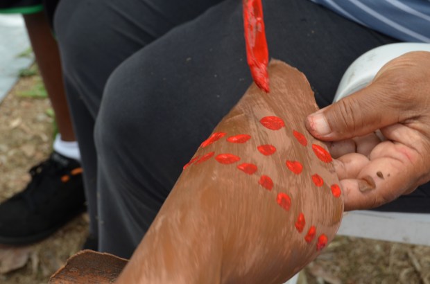 Bark Painting - June Perkins