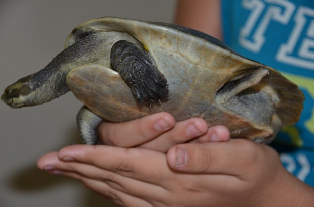 2013-02-14 2013-02-15 001 004