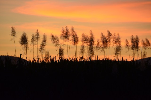 2013-06-14 sunsetmurrayupper 047