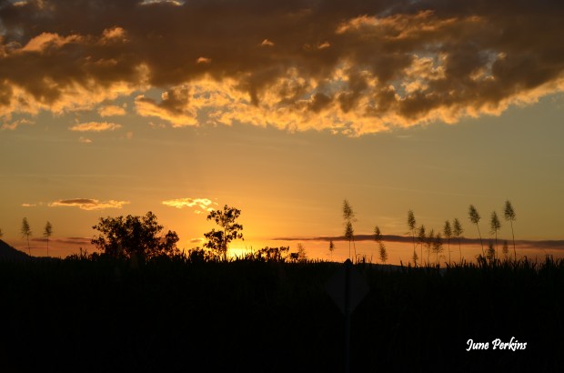 2013-06-29 2013-06-030