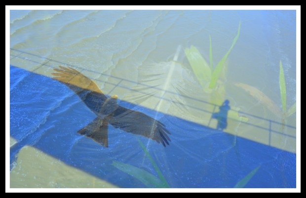 ForGrumpyFishermanbook-002