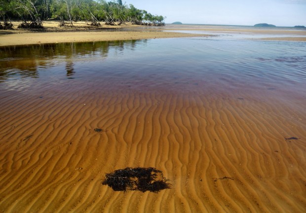 For the Anthology - June Perkins