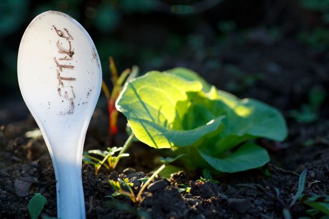 4823645648_4297d08af9_o