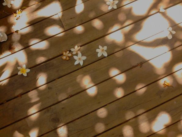 1655746_10202309406869472_932439745_o