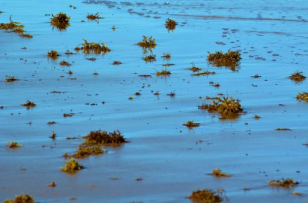 1517503_10202753067560712_1942392861_n