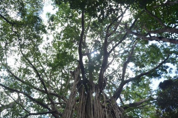 62962_4839246171946_680612432_n