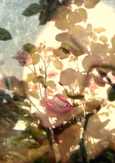 4514500990_42b2a23477_b (2)