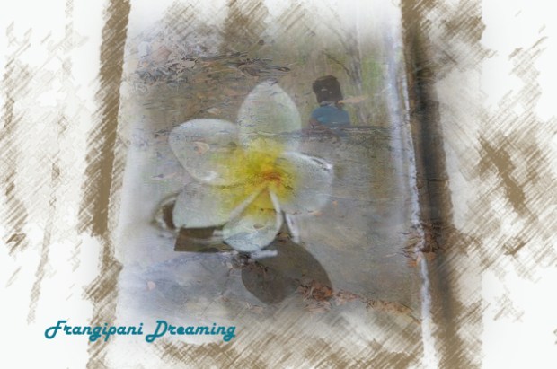 frangipanigirl2