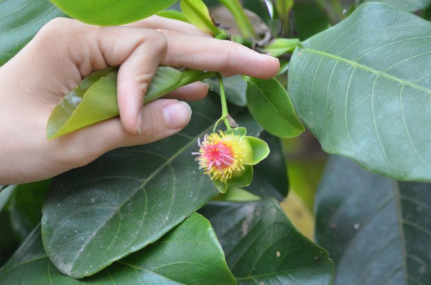 2012-09-30 2012-09-30 001 001