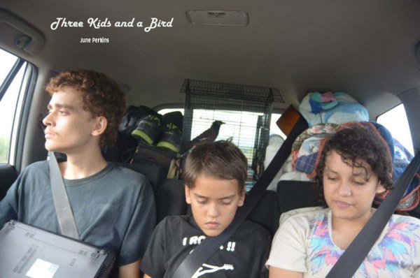threekidsandbirdB