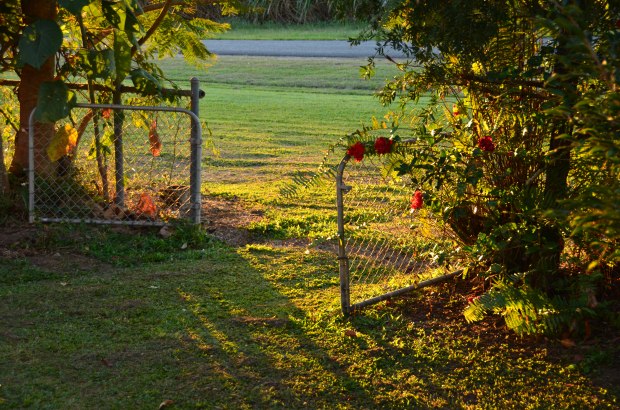 2013-08-05 2013-08-06 001 079