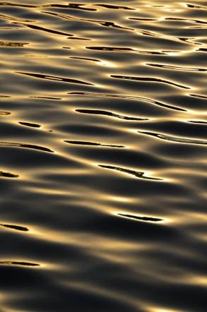 10480206_10204517918240876_2944775987513888445_n