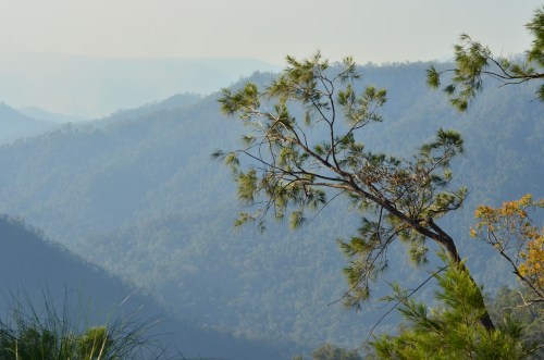 5968967908_22399008ca_o