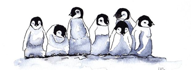 10915124_384811865013703_121708131010443899_o