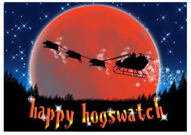 11060290_10153705032458646_2897191750214123956_n