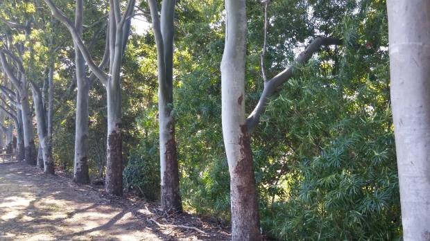 11807290_10206334225887432_8469870395302876159_o