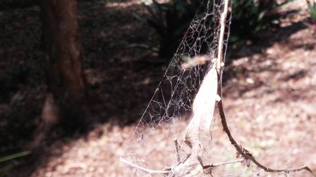 11834816_10206334224367394_4711021963531846604_o