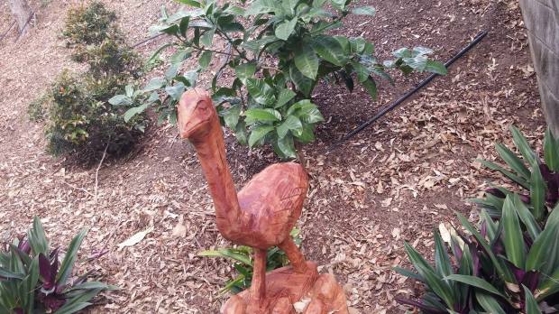 11844968_10206334226887457_894415925443107590_o