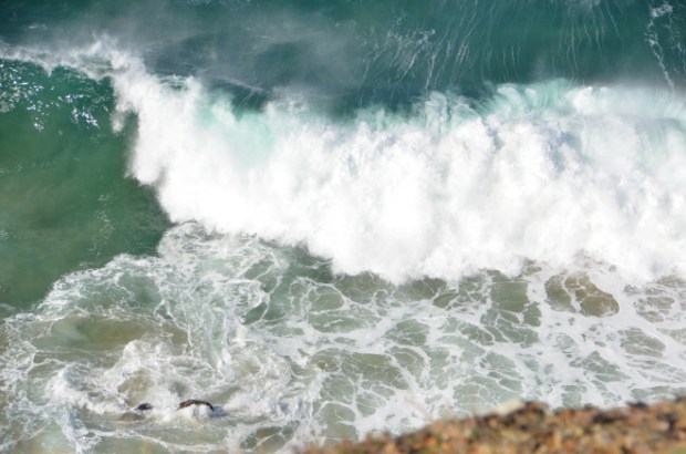 19409675559_dfb55a242d_o (2)