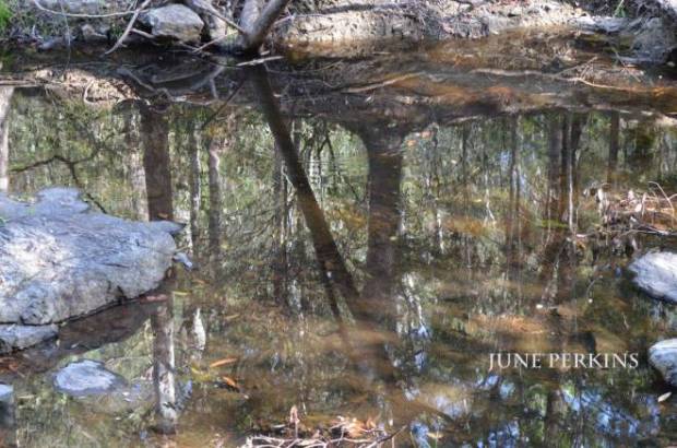 12132384_10206798505854141_1467831337153059090_o