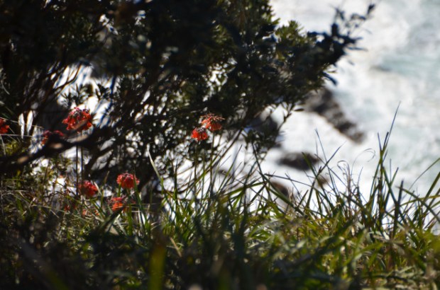 19590412022_7e6e988977_o