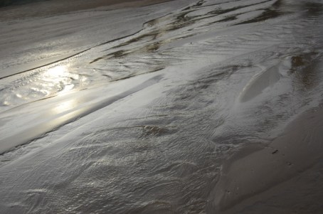 3285841995_799002615e_o (2)