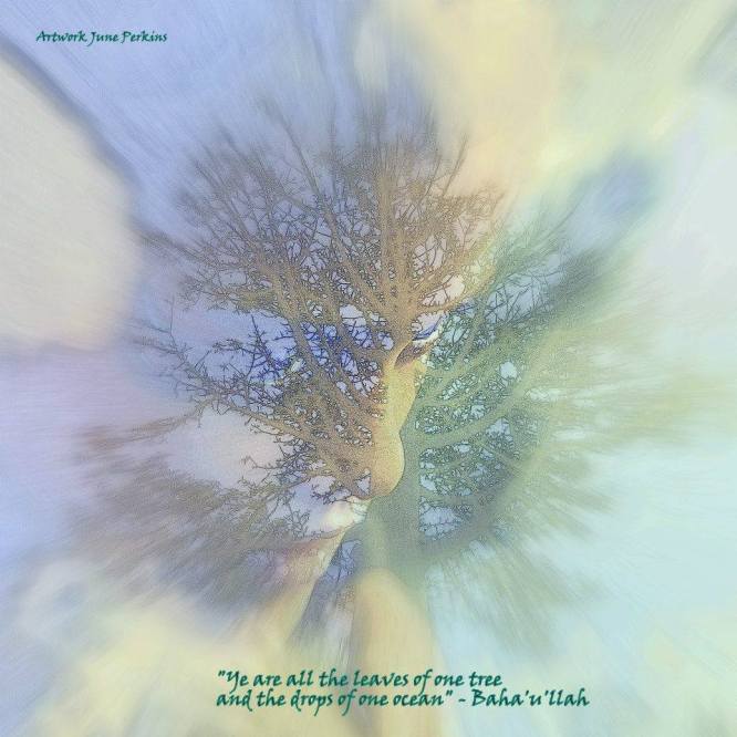 11066604_10205264935795848_5705128358795885876_n