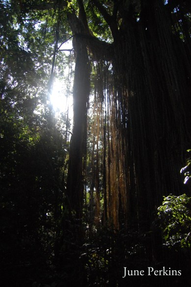 5113516304_d416c51d3c_o