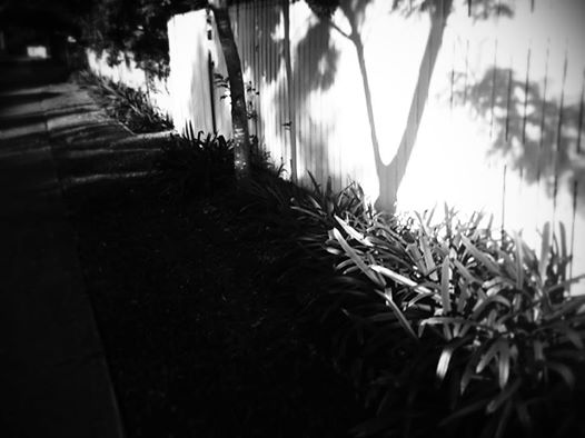 13096235_10208245823956189_4644203016457631157_n