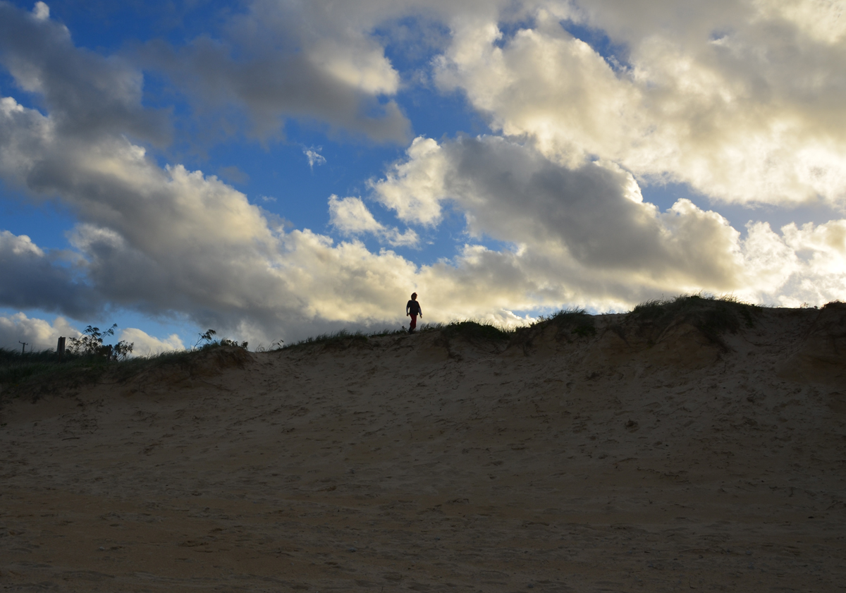 JunePerkinsNoosaAzamatBE173