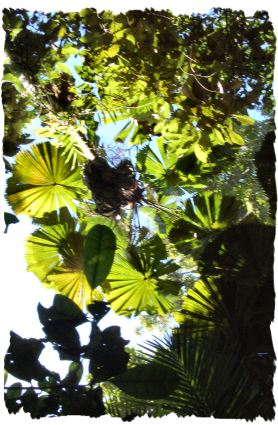 4911885093_76562a1c7c_o