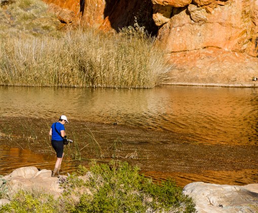 Betty Collerson_Red Centre_07 (1 of 1)