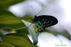 5388663396_1baf335333_m